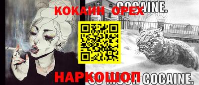 СК Сланцы