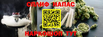 СК Сланцы