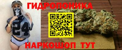 СК Сланцы