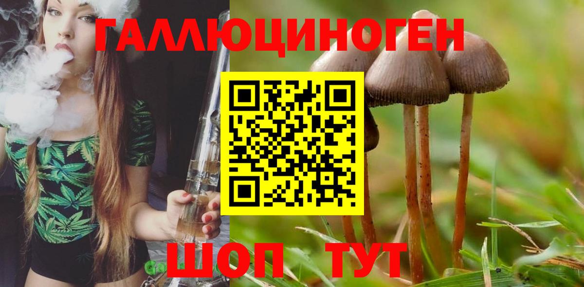где можно купить   Вход с VPN  Сосновоборск  Галлюциногенные грибы мицелий 