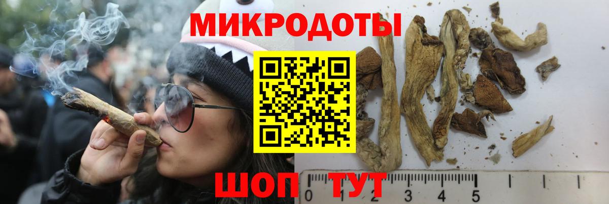 Псилоцибиновые грибы ЛСД Сосновоборск